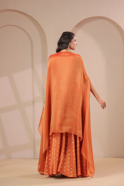 2 Piece hand emboidered bodice, flared top with banarasi skirt-palazzo