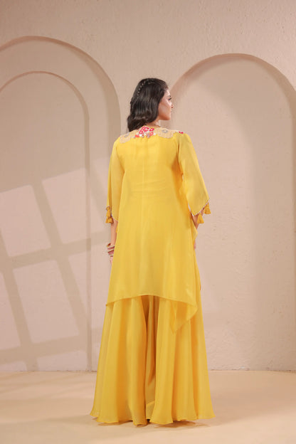 3 piece Hand emboidered kurta with bustier and skirt-palazzo