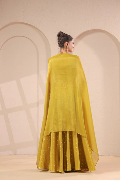 2 Piece hand emboidered bodice, flared top with banarasi skirt-palazzo