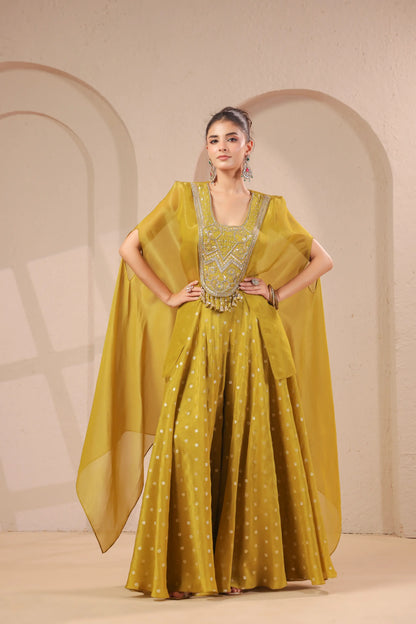 2 Piece hand emboidered bodice, flared top with banarasi skirt-palazzo