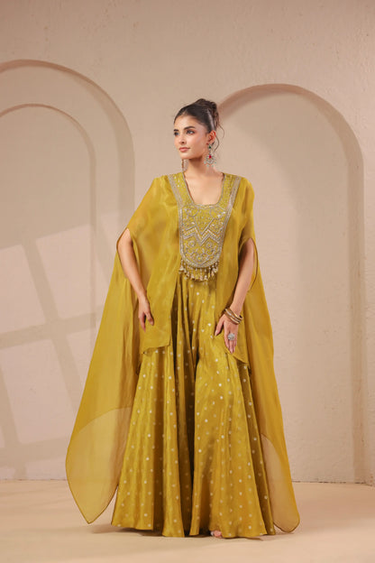 2 Piece hand emboidered bodice, flared top with banarasi skirt-palazzo