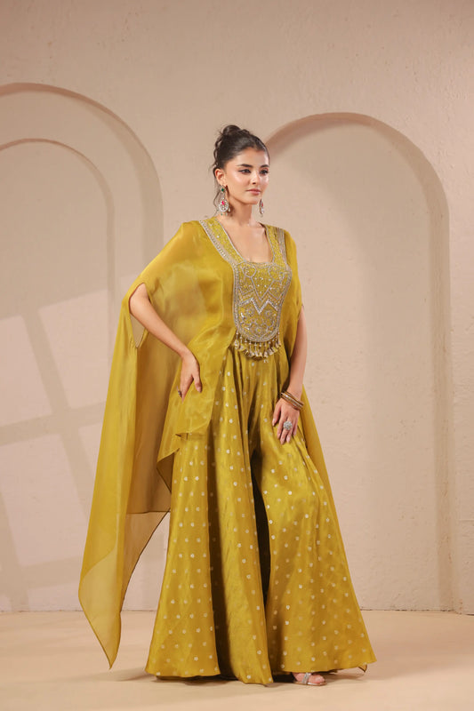 2 Piece hand emboidered bodice, flared top with banarasi skirt-palazzo