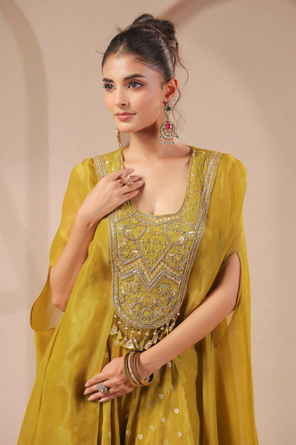 2 Piece hand emboidered bodice, flared top with banarasi skirt-palazzo