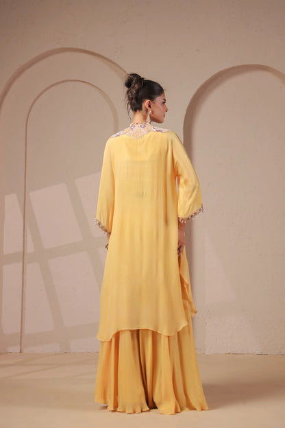 3 Piece Hand emboidered kurta with bustier and skirt-palazzo